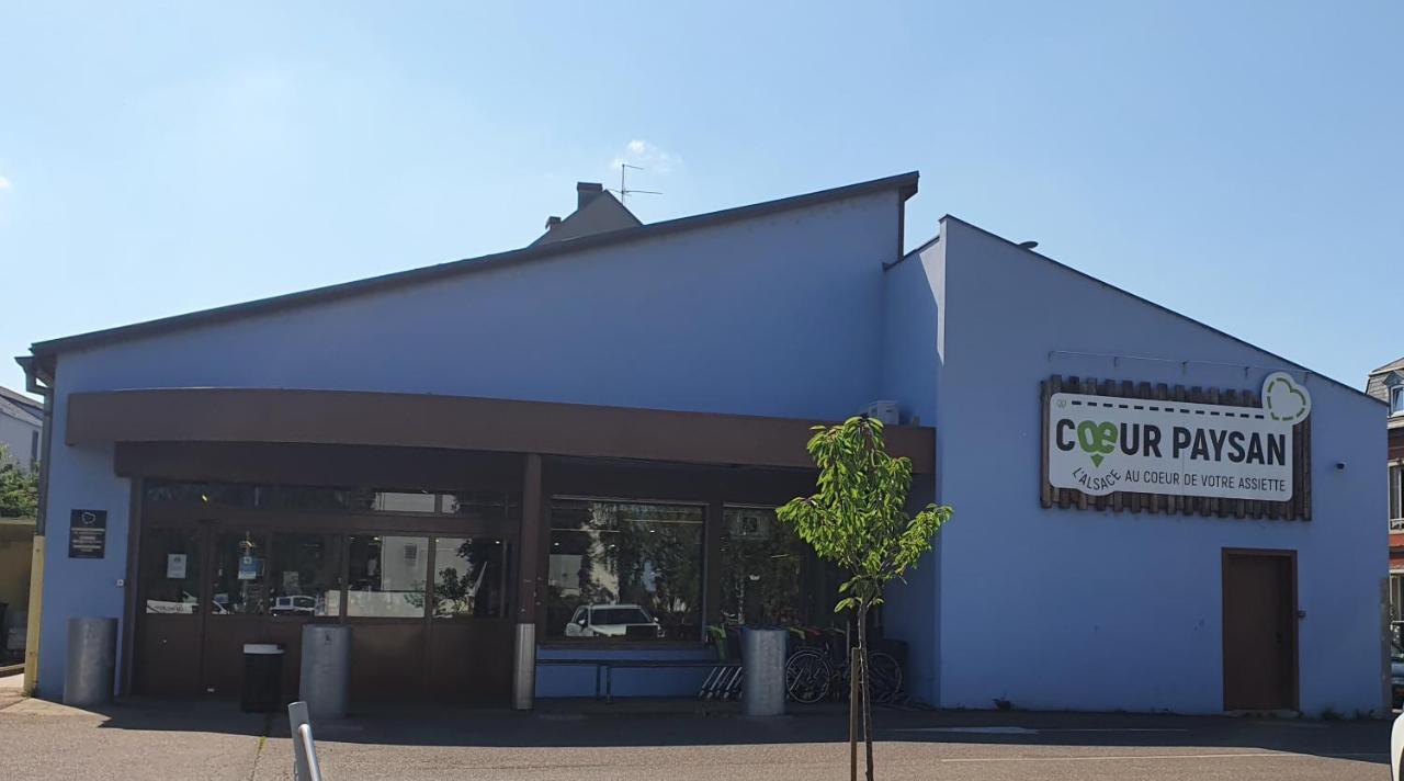 Le Bienvenue A Colmar - Parking Prive Inclus, Centre A Deux Pas Apartment Ngoại thất bức ảnh