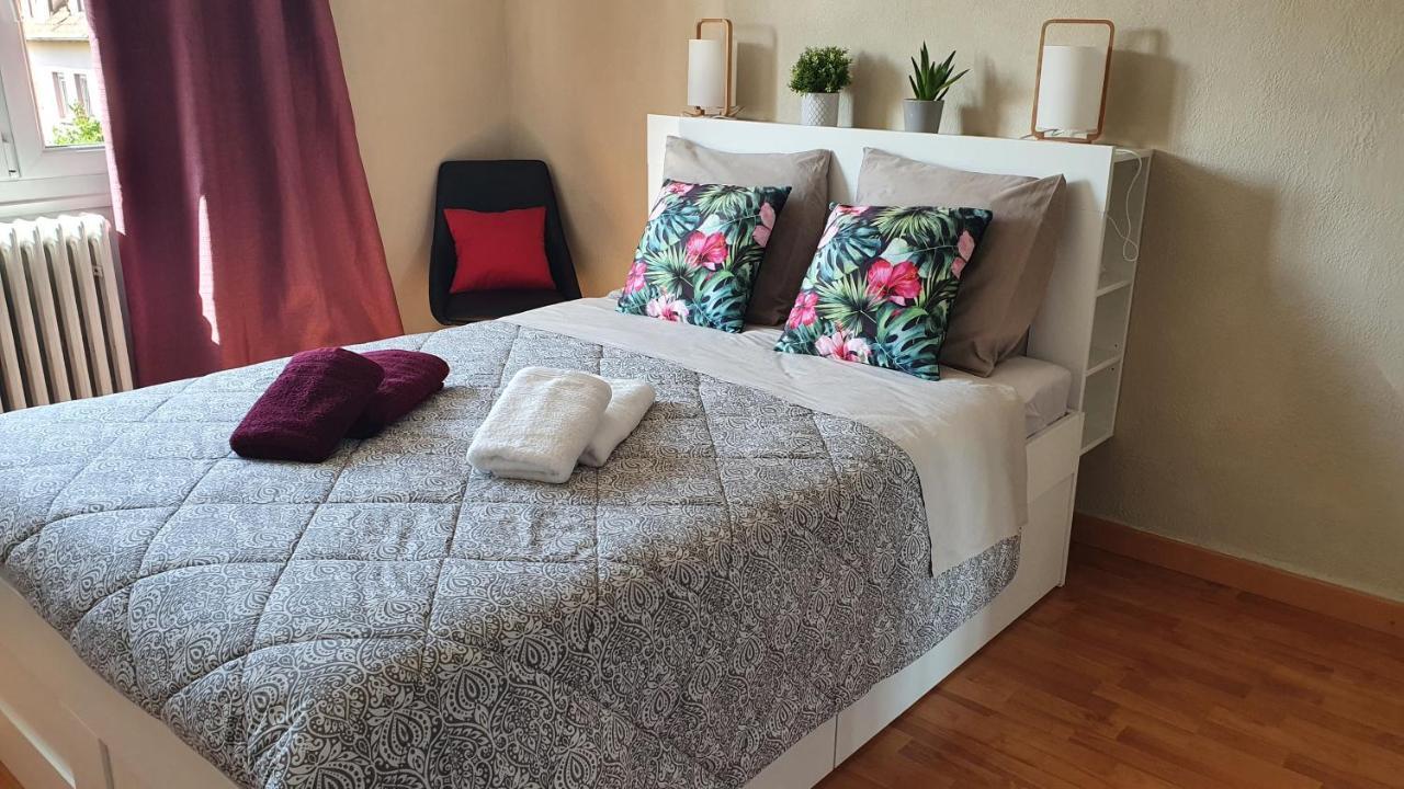 Le Bienvenue A Colmar - Parking Prive Inclus, Centre A Deux Pas Apartment Ngoại thất bức ảnh